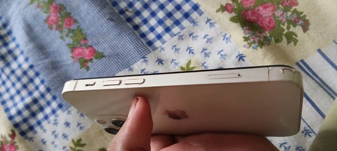 Apple iPhone 13 mini