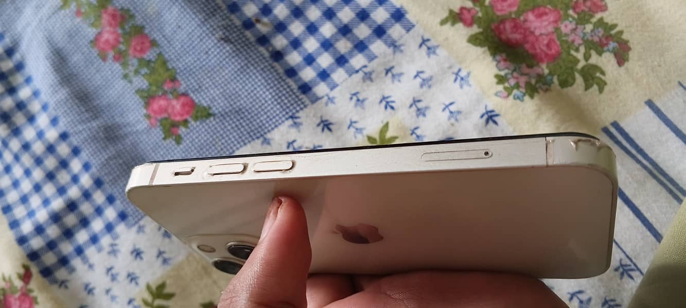 Apple iPhone 13 mini 0