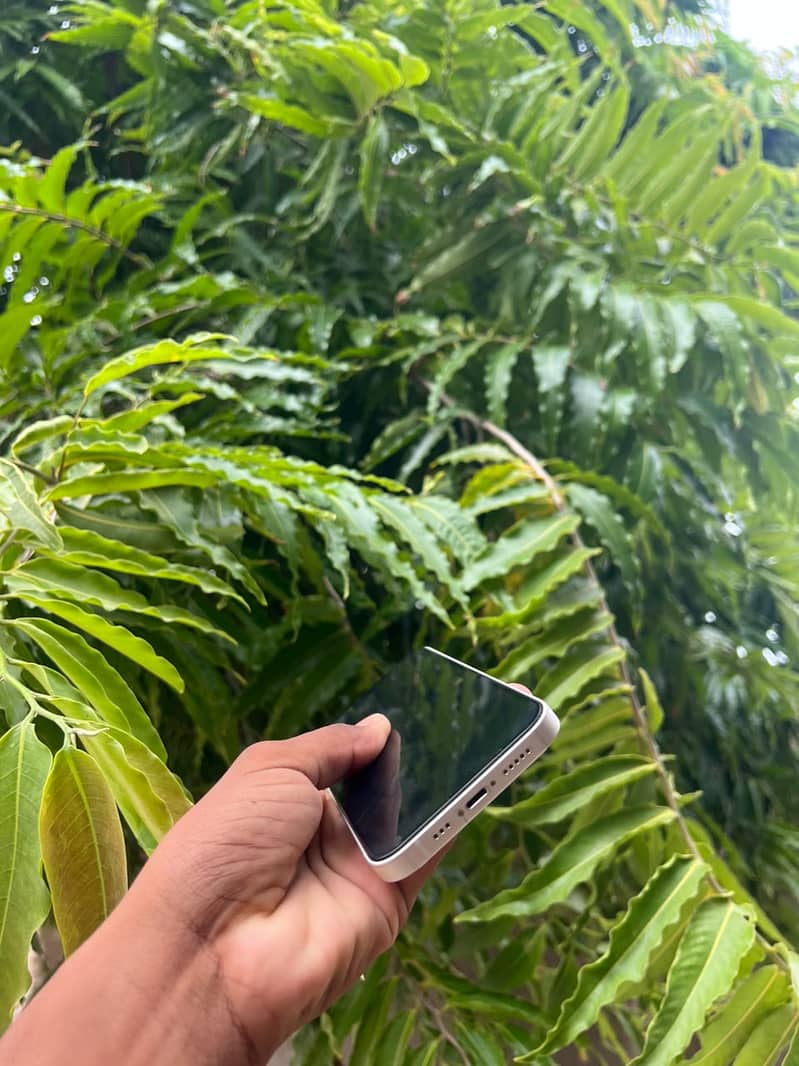 Apple iPhone 13 3