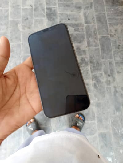 Apple iPhone 12 Pro