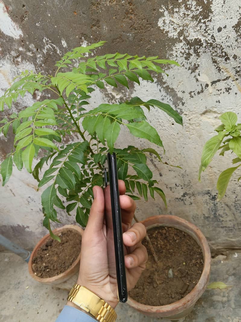 One Plus 6T 7