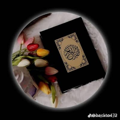 Online Quran Teacher for Kids & Ladies | Work From Home