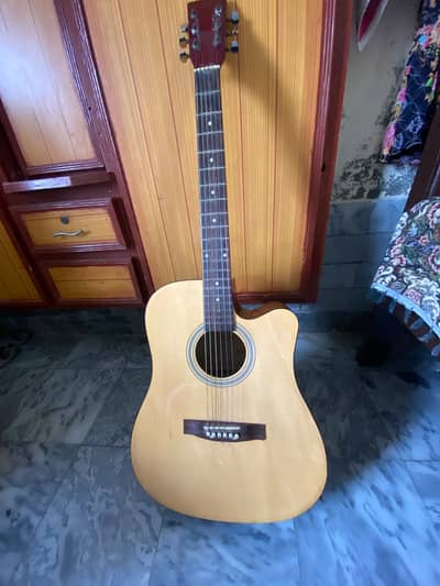 Accoustic Guitar