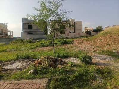 Solid Land Plot Bahria Hamlet