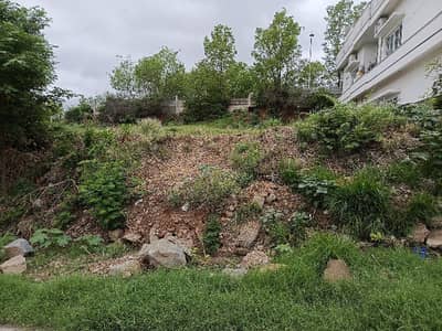 32 Marla Solid Land Plot DHA 1