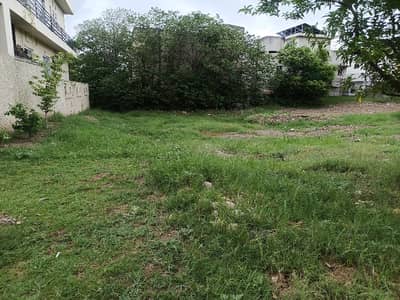 1 Kanal Beautiful Plot For Sale DHA 1