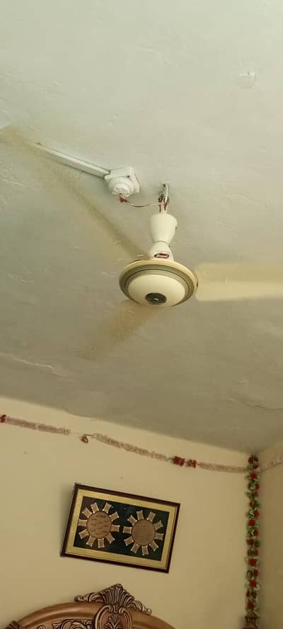 ceiling fan for sale for sale