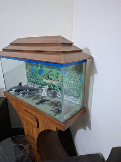 Fish Case Sale