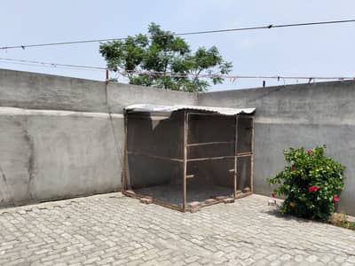 Bird Cage | Cage|Hen Cage|Large Bird Cage|Pigeon Cage for sale