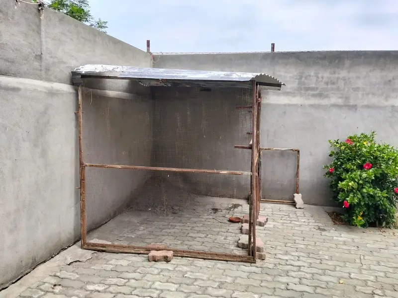 Bird Cage | Cage|Hen Cage|Large Bird Cage|Pigeon Cage for sale — photo 2