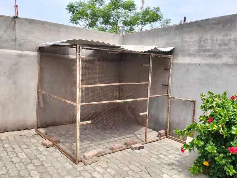 Bird Cage | Cage|Hen Cage|Large Bird Cage|Pigeon Cage for sale — photo 3