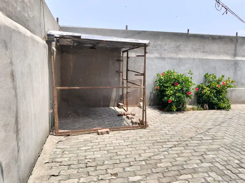 Bird Cage | Cage|Hen Cage|Large Bird Cage|Pigeon Cage for sale — photo 4