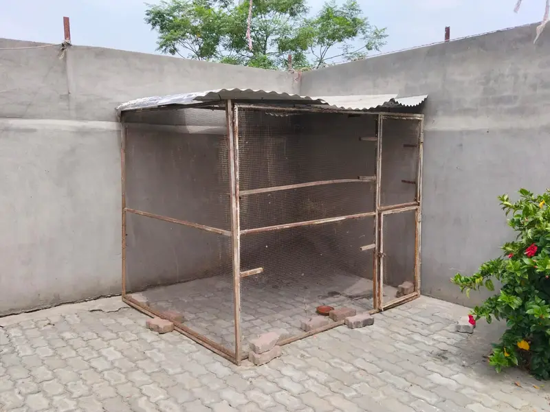 Bird Cage | Cage|Hen Cage|Large Bird Cage|Pigeon Cage for sale — photo 5
