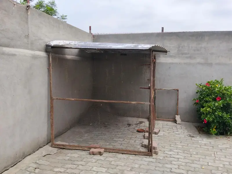 Bird Cage | Cage|Hen Cage|Large Bird Cage|Pigeon Cage for sale — photo 6