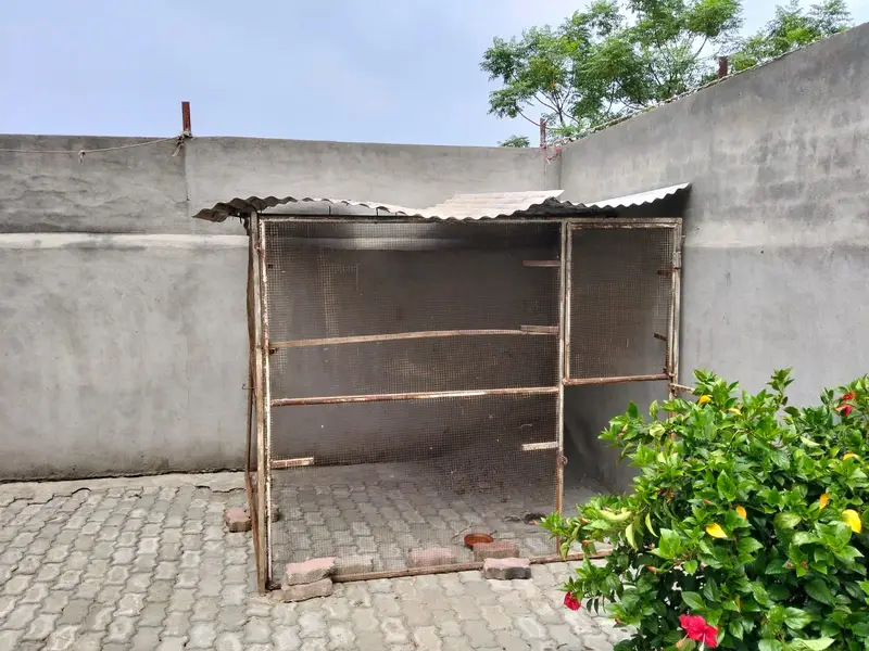 Bird Cage | Cage|Hen Cage|Large Bird Cage|Pigeon Cage for sale — photo 7