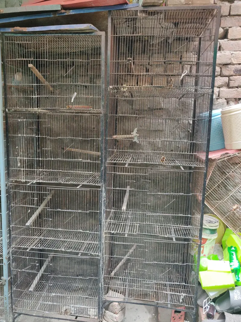 4 Portion Cage for sale