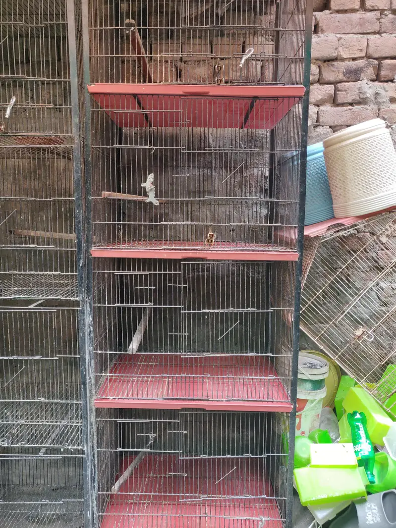 4 Portion Cage for sale — photo 2