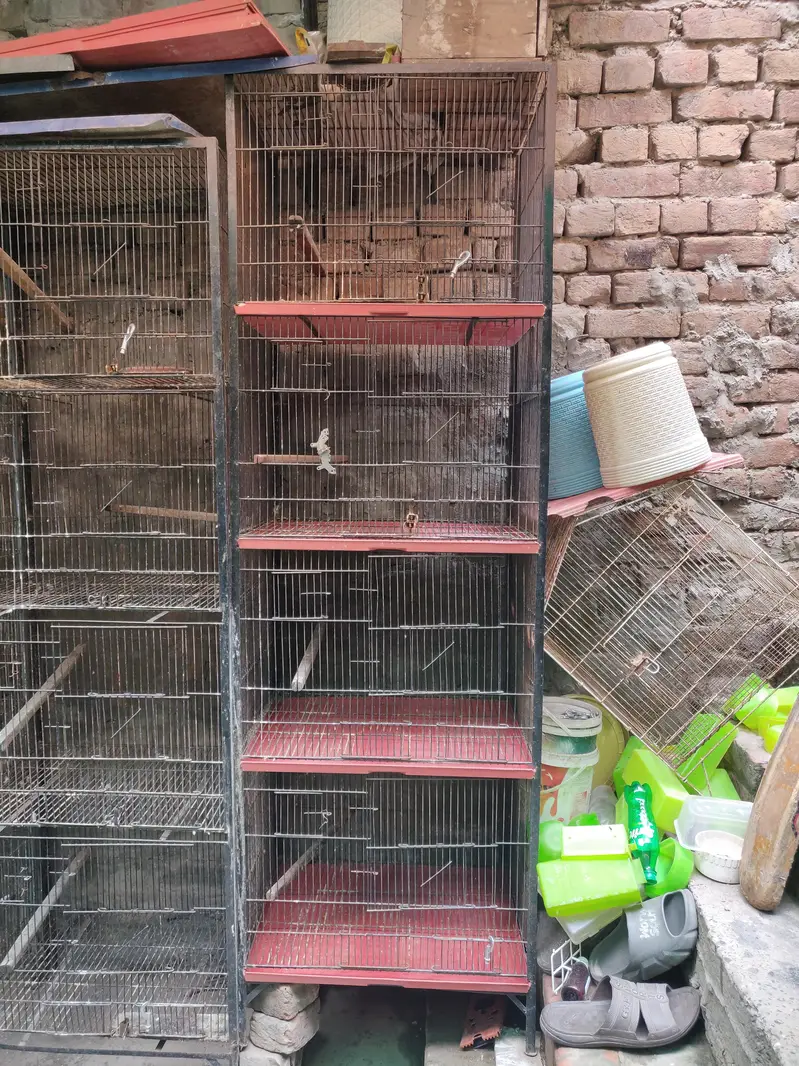 4 Portion Cage for sale — photo 3
