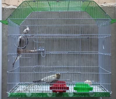Active Birds for Playing Childrens
