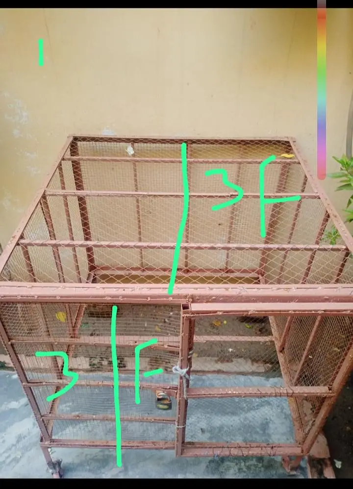 for sale