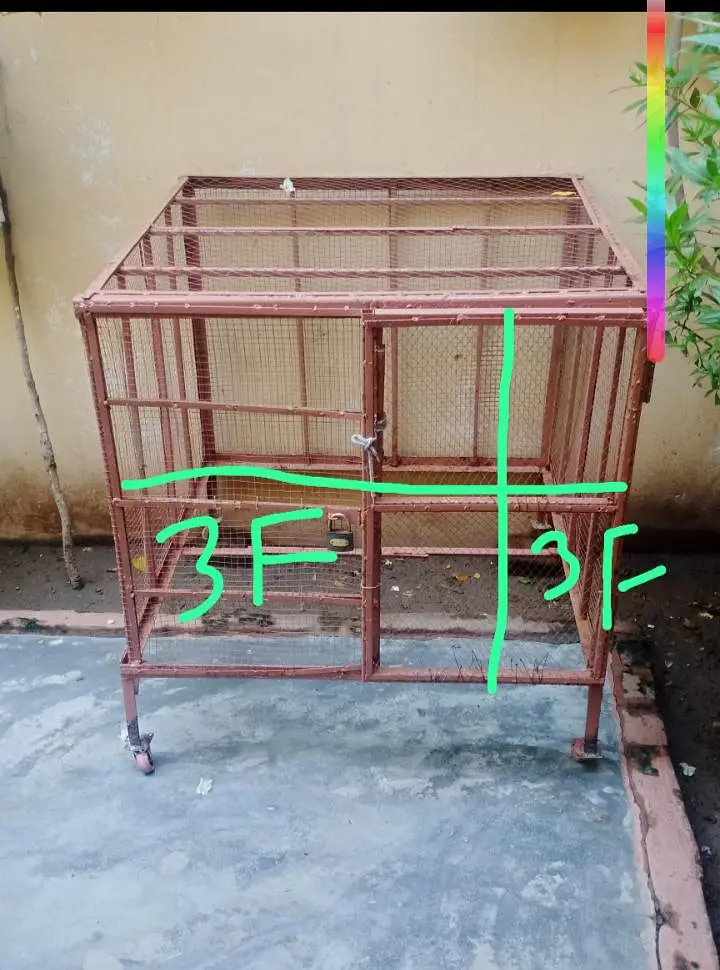for sale — photo 3
