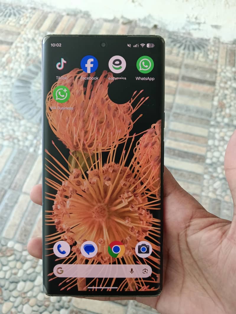 Google pixel 6 pro 13