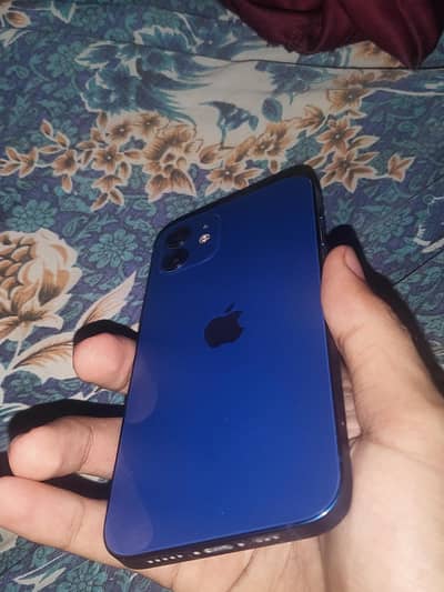 iPhone 12
