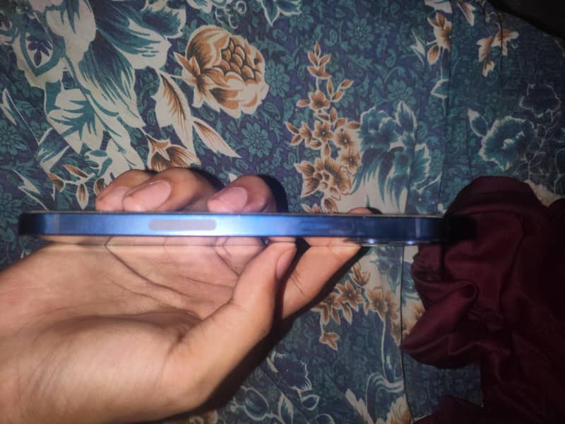 iPhone 12 2