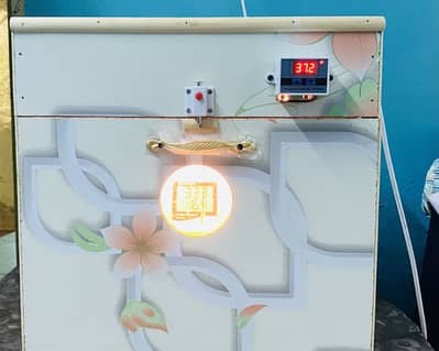Eggs incubator