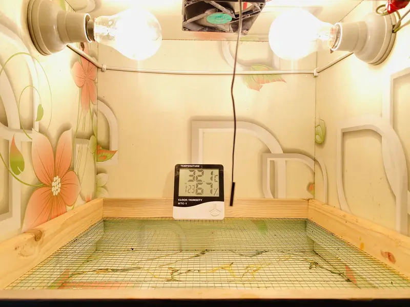 Eggs incubator — photo 2