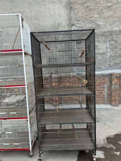 bird cage