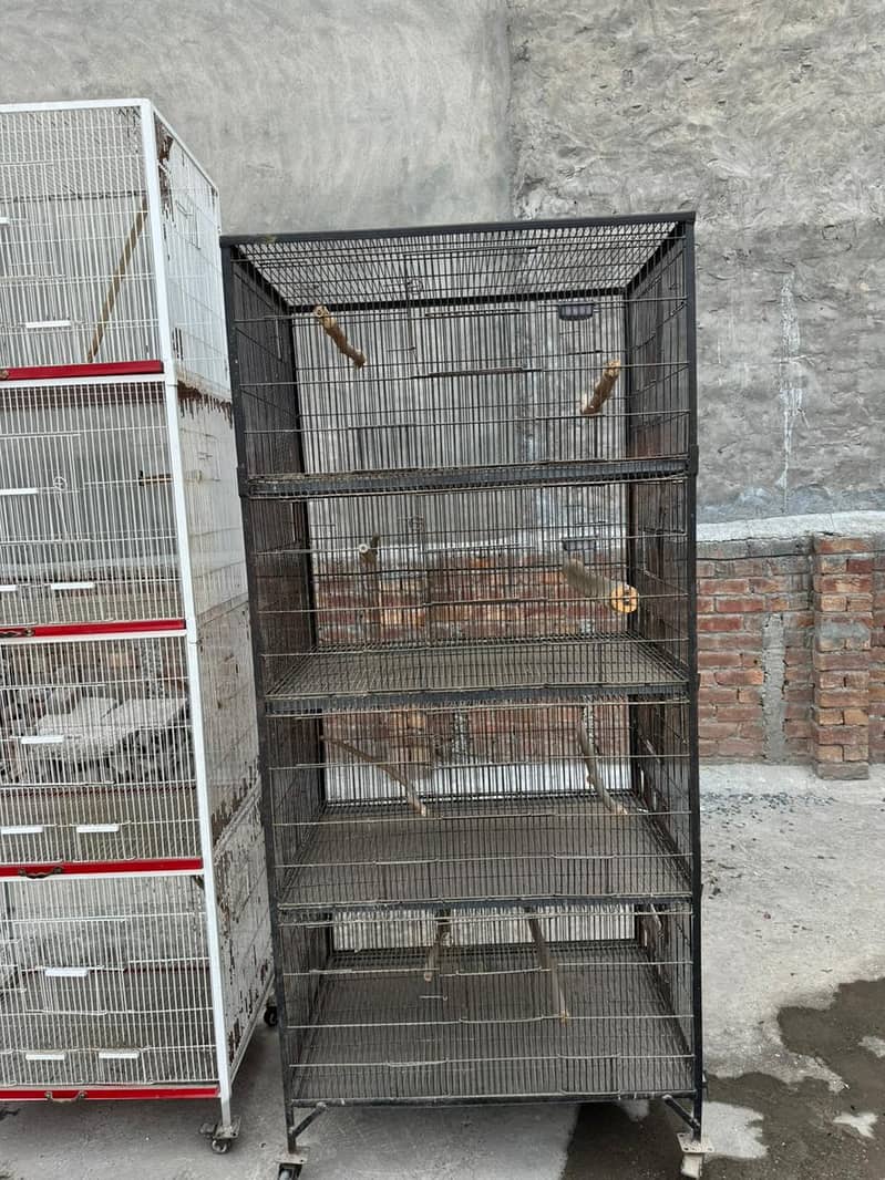 bird cage 0