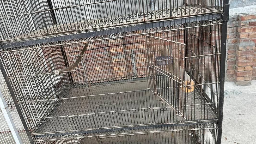 bird cage 1