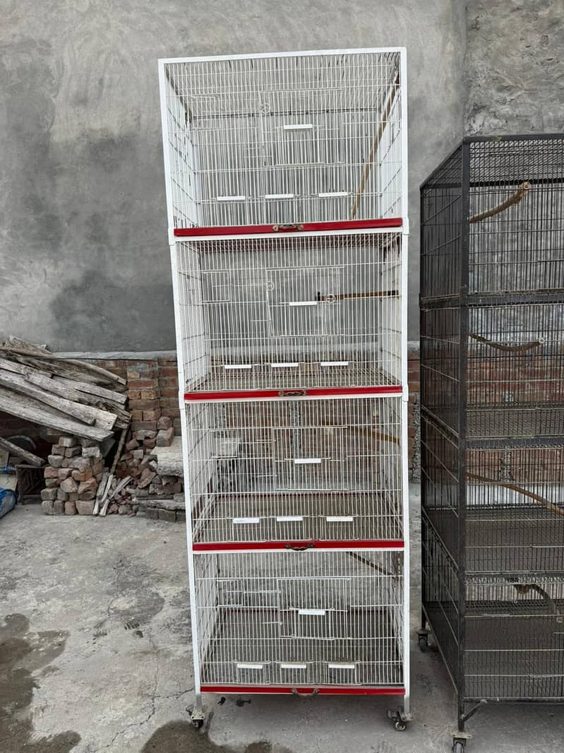bird cage 2