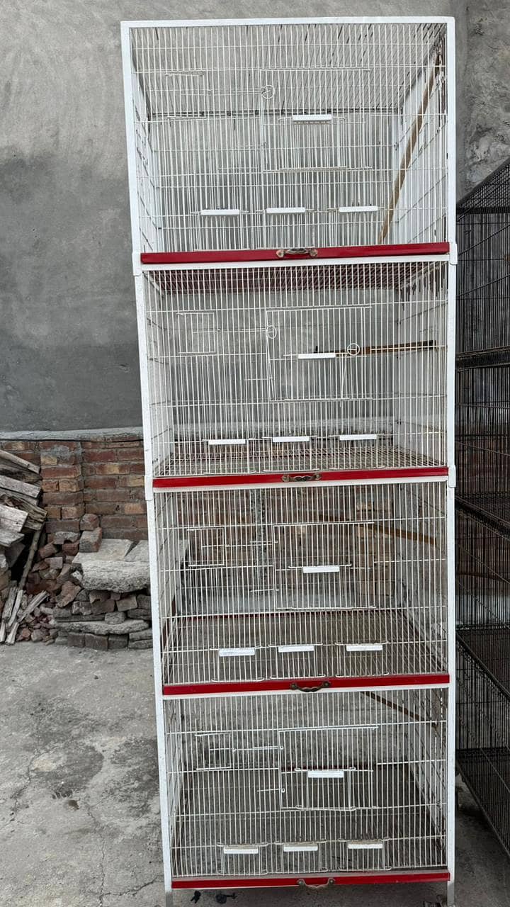 bird cage 4