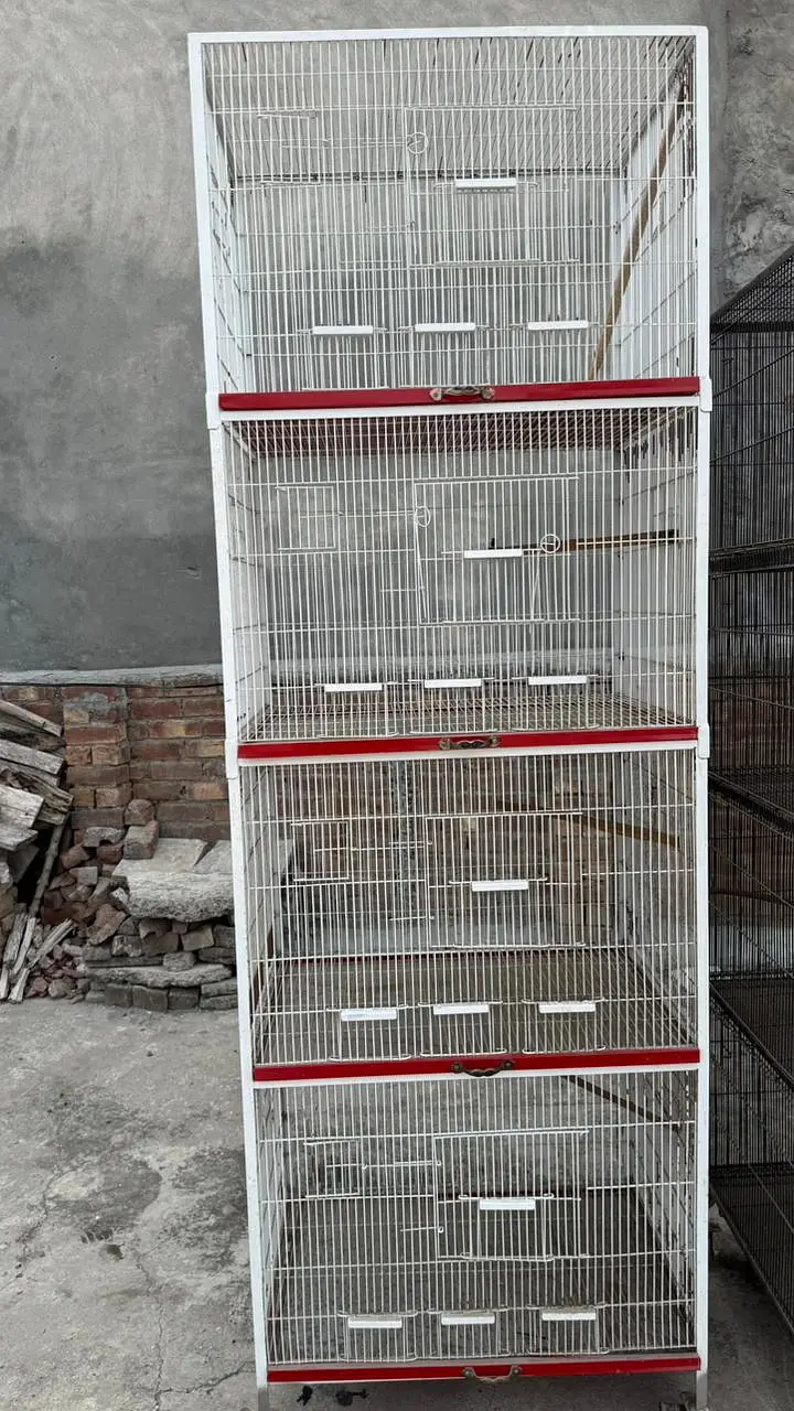 bird cage — photo 5