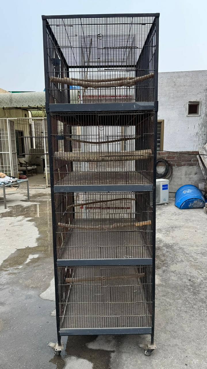 bird cage 5