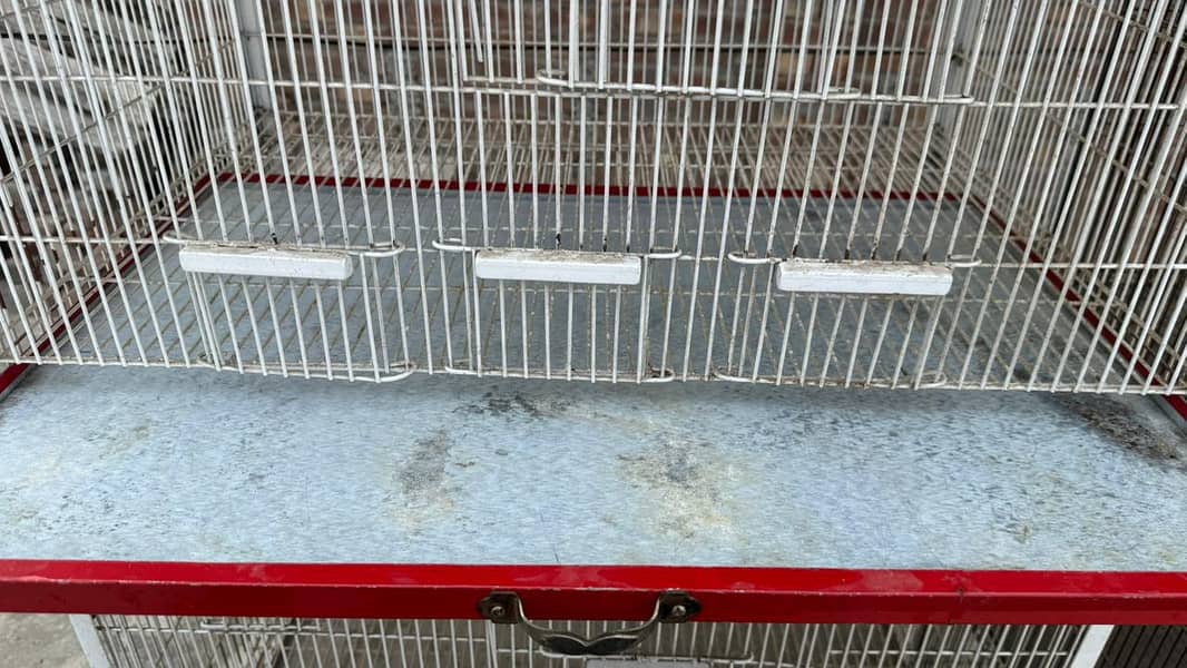 bird cage 6