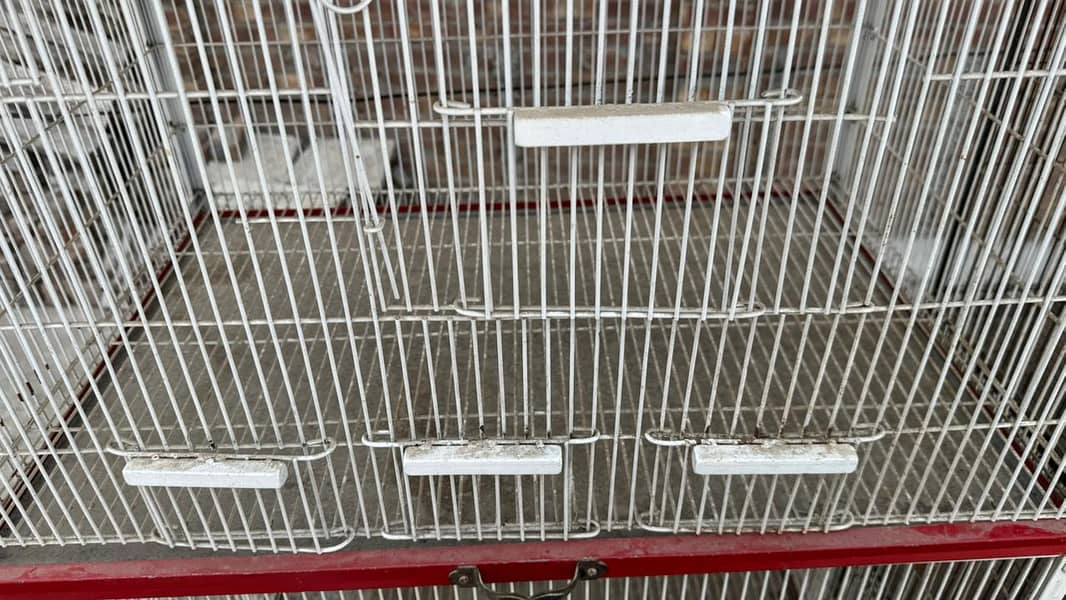 bird cage 7