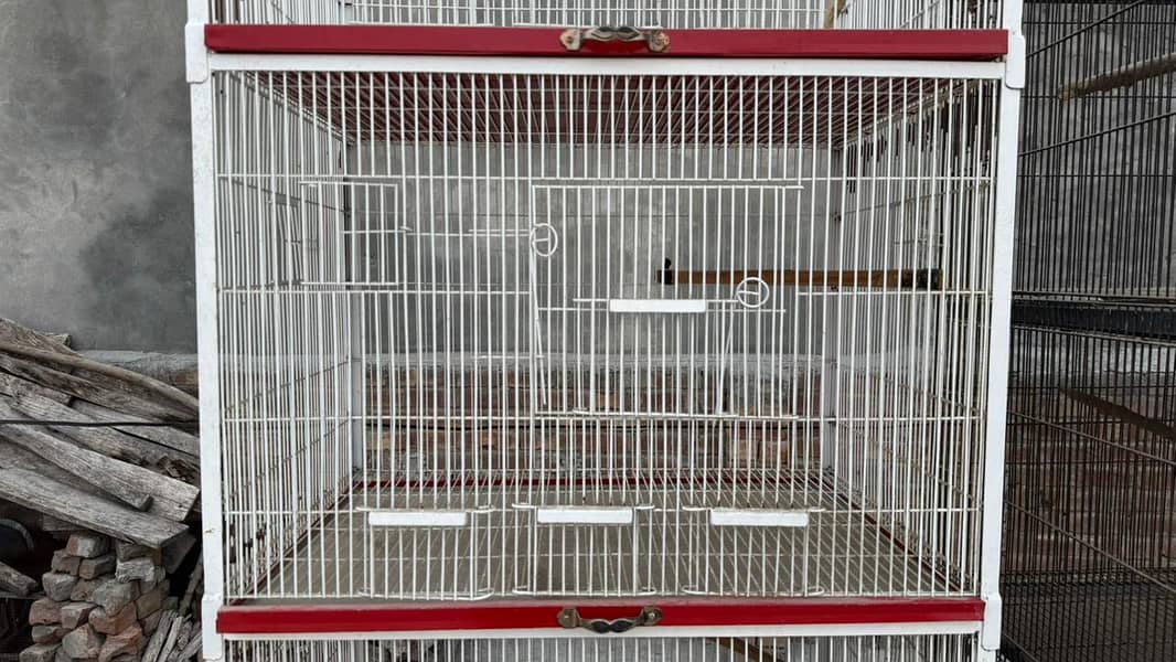bird cage 8