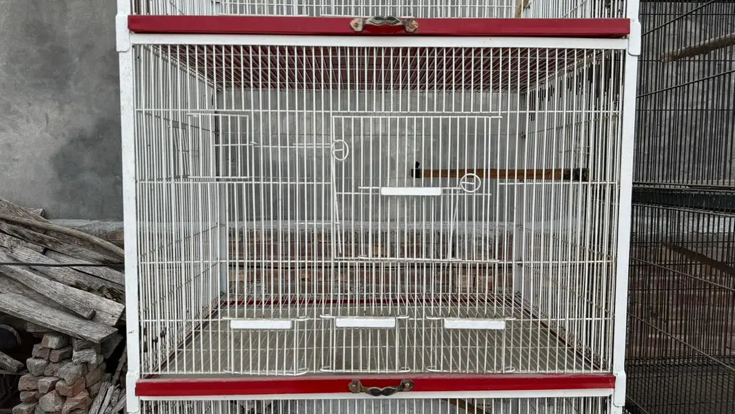 bird cage — photo 9