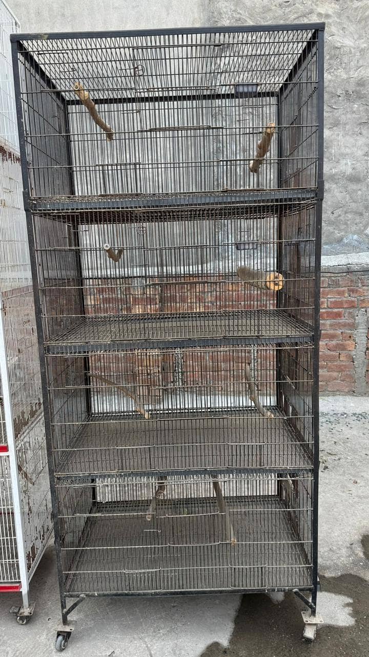 bird cage 9
