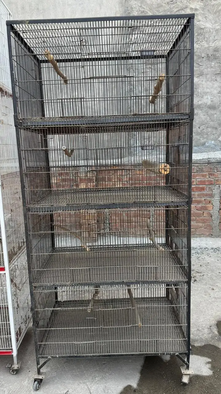 bird cage — photo 10