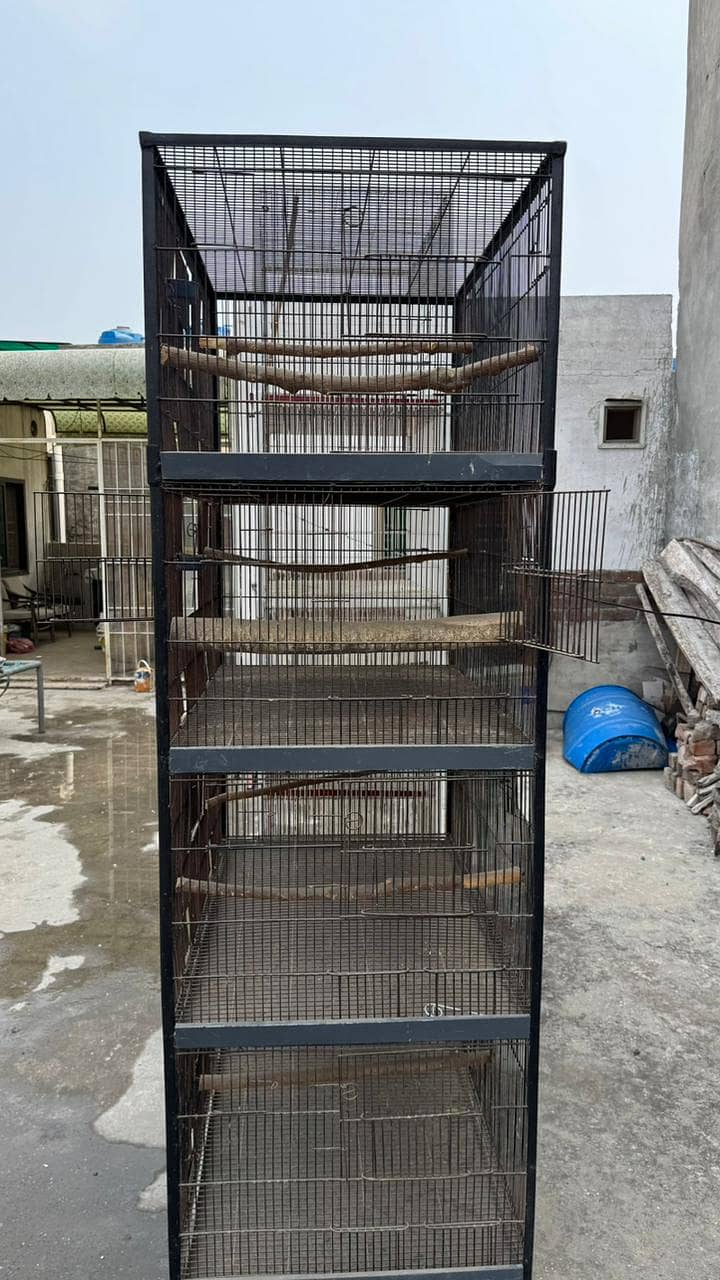 bird cage 10