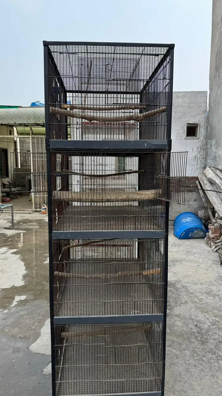 bird cage — photo 11