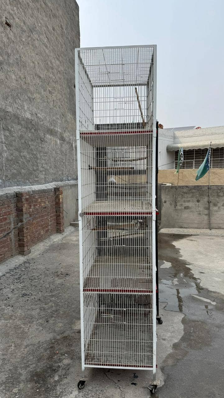 bird cage 11
