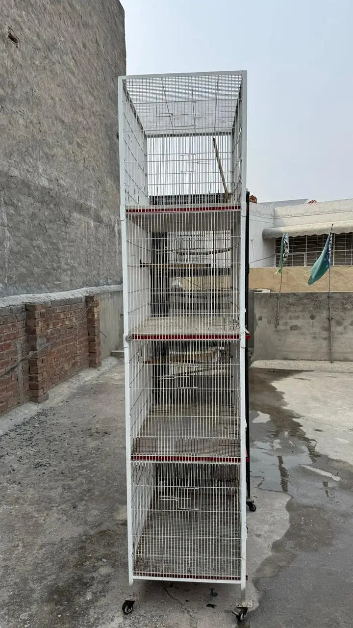 bird cage — photo 12
