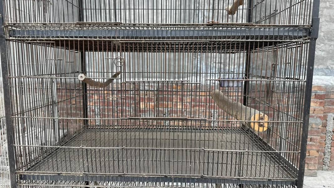 bird cage 14