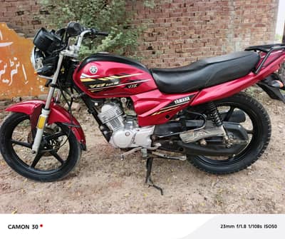 net to net original bike h
