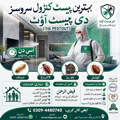 pest control dengue spray termite control Fumigation demak control